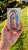 MINI Icones Personalizado - Imagem 6