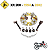 Escova Motor de Partida Honda NXR Bros 125 150 - 2003 a 2005 - Imagem 9