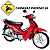 Manicoto Shineray Phoenix 50 Esquerdo Embreagem - Imagem 4