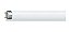 Lâmpada Fluorescente Tubular T10 20w 6500k 60cm Phillips - Imagem 2