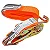 Kit Cinta com Catraca Worker 4,6m - Imagem 1