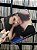 LP - PATRICIA - PATRICIA - Imagem 2