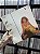 LP - ELBA RAMALHO - FOGO NA MISTURA - Imagem 2