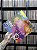 LP - VANGE LEONEL - VANGE - Imagem 1