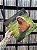 LP - BETH CARVALHO - BETH - Imagem 1
