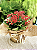 Kalanchoe tamanho G - Imagem 1