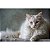 Ração Must Premium Especial Gatos Castrados 10,1kg - Imagem 6