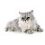 Ração Must Premium Especial Gatos Castrados 10,1kg - Imagem 7