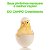 Ração Pré Inicial Para Aves + Ração Para Aves Em Crescimento - Imagem 5
