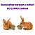 DO CAMPO COELHOS Ração Para Coelhos/Roedores 5kg - Imagem 5