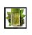 Arbo Forest Desodorante Colônia 100ml ⭐⭐⭐⭐⭐ - Imagem 1