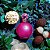 Britney Spears Fantasy EDP 100ml Feminino - Imagem 4
