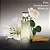 Eternity for Women Calvin Klein Eau de Parfum 100ml Feminino - Imagem 2