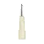 L'Eau d'Issey Issey Miyake Eau de Toilette 100ml Feminino - Imagem 1
