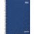CADERNO 1/4 LUNIX 80 FOLHAS TILIBRA - Imagem 16
