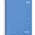 CADERNO 1X1 CD COLEGIAL LUNIX 80 FOLHAS TILIBRA - Imagem 11