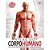 LIVRO ATLAS CORPO HUMANO 32PGS UNIDADE  - DCL - Imagem 1