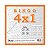 BLOCO PARA BINGO BINGAO JORNAL 4X1 100 FOLHAS UNID - Imagem 1