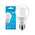 Lâmpada LED 9w Branca Fria Elgin - Imagem 1