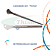 Calosidade Plantar Thimon | Instrumento Cortante - Imagem 1