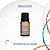 Óleo Essencial Cedro do Atlas Via Aroma 10ml | Aromaterapia - Imagem 1