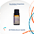 Óleo Essencial Eucalipto Staigeriana Via Aroma 10ml | Aromaterapia - Imagem 1