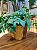 VASO MADEIRA - 23487 - Imagem 2