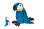 ARARA ENCANTADA AZUL GRAVIDA COM 1 FILHOTE - Imagem 1