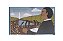 LIVRO GENTE PEQUENA. GRANDES SONHOS MARTIN LUTHER KING - Imagem 3