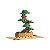PLUS PLUS PLANTA BONSAI VERDE 50 PCS - Imagem 1
