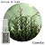 Perfume de Papel / Cheirinho para Embalagem / Aroma para Ambientes - 30ml (Vários aromas) - Imagem 11