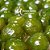 Doce em Compota 680g - Figo - Imagem 4