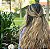 Pente Hair Amor Perfeito - Imagem 3