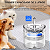 Fonte De Água Para Gatos E Cachorros Elétrica  Transparente - Imagem 16