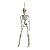 Caveira Amom 40cm para Decoração de Halloween - 1 Un - Imagem 2