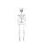 Esqueleto Articulado Charlie Halloween 70cm - 1 Un - Imagem 2