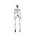 Esqueleto Articulado Xavier Halloween 92cm - 1 Un - Imagem 1
