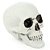 Crânio Blake Decoração Halloween 16cm - 1 Un - Imagem 1