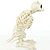 Esqueleto Coruja Decoração Halloween 31,5cm - 1 Un - Imagem 3