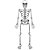 Painel Halloween Horripilante Esqueleto - 1 Un - Imagem 1