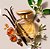 Coffee Woman Floriental Ambarado Desodorante Colônia 100ml - Imagem 2