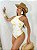 BODY AMERICANA - Imagem 2