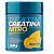 Creatina 100% Pura 300g - Imagem 1