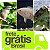 Tenébrio Molitor Frete Grátis Brasil - Imagem 5