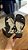 Chinelo Acostamento Masc Casual Lobo Listrado Preto - Imagem 4