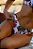 Calcinha Borboleta Tropical - Imagem 1