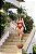 Top Liz Montana Pitanga - Imagem 3