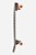 Simulado De Surf Zuma - SS Coconut/Niu Voyager - 31.5" SurfSkate - Imagem 3