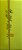Prancha De Surf Town and Country importada 6'10'' 39,9 Lts PU Usada - Imagem 3