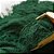 Spirulina em pó 100g - Imagem 1